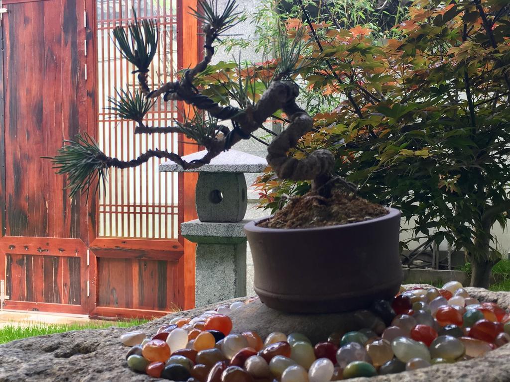 Bo Nan Homestay Дали Экстерьер фото